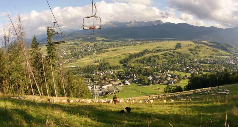 Pokoje U Zoskip Zakopane Exterior photo